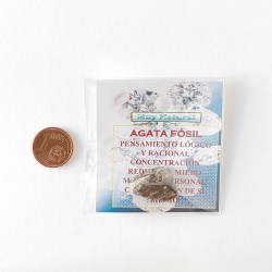 Mineral Agata Fosil