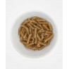 Macarrones Integrales BIO 250 gr PASTA SANA