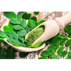Moringa en polvo bio 125 GR...