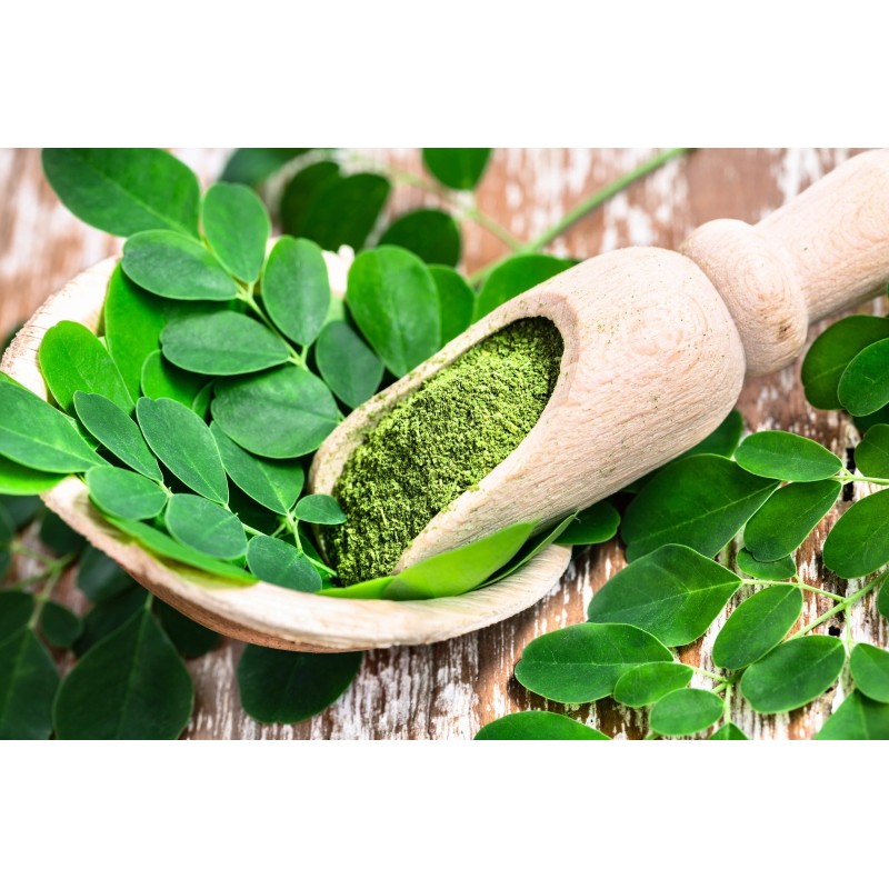 Moringa en polvo bio 125 GR ECOBASICS